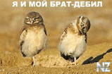 2_debila.jpg