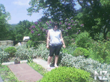 Image_150_.jpg