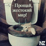 v_pyt_.jpg