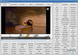 RusTV Player 2.1.1_2011_pc__portable_224900.zip