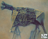zdzislaw_beksinski_029.jpg
