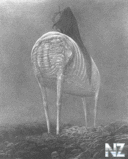 zdzislaw_beksinski_107.jpg