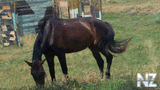 20110630_005.jpg