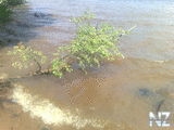 05072011035.jpg