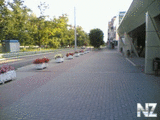 Утренний проспект.jpg