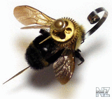 bumblebee.jpg