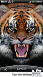 Tiger Live Wallpaper 1.05.zip