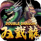 DoubleDragon v1.00.01.ipa