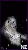 Leopard2.gif