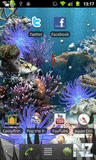 Coral Reef Live Wallpaper v1.0.apk