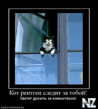 x_25d2b317.jpg