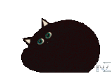 katze_212.gif
