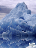 83.gif