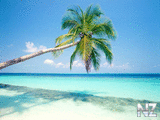 maldives.jpg