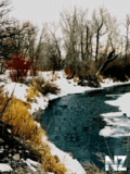 54.gif