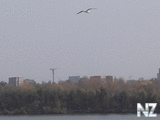 RSCN2437.jpg
