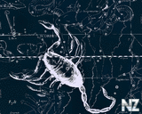 Maps_4_.jpg