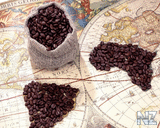 Maps_6_.jpg