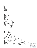 6_3.png