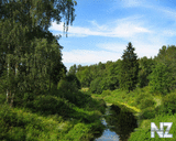 w068_6.jpg