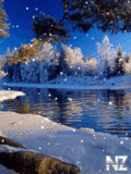 147.gif