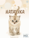 anime_name086_240x320.gif