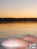anim_girls010_240x320.gif