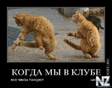 f57019a912c86a02db68c7dcbd3b085de32b757c_1.jpg