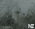 gdpit_com_31277928_889.gif