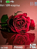 Red_Rose.nth