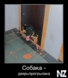 Собака