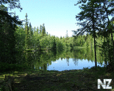 solovki_forest_lake_lesnoe_ozero_1280x1024.jpg