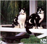 image007.jpg