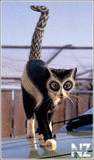 image025.jpg