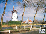 arhitektura_264.jpg