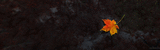 oboi_minimalizm_041.jpg