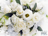 oboi_flowers_037.jpg