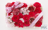 oboi_flowers_056.jpg