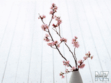 oboi_flowers_188.jpg