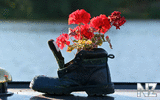 oboi_flowers_172.jpg