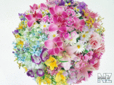 oboi_flowers_015.jpg