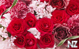 oboi_flowers_048.jpg