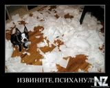 псих