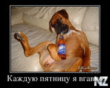 ee5ea4f045b85ce3f0a14ec6dc4a3df1c6903ab5_1.jpg