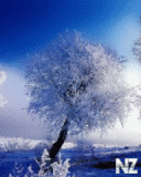 pr012.gif