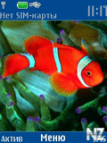 Clown_Fish.nth