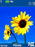 Sunflower.nth