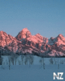 pr034.gif