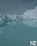 pr046.gif