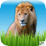 Zoo Sounds - Fun Educational Games for Kids v3.0.ipa